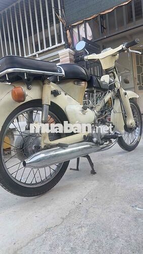 Honda Little Cub 50 Trắng kem