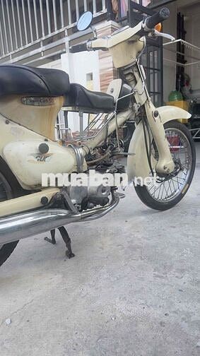 Honda Little Cub 50 Trắng kem