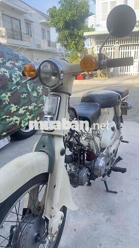 Honda Little Cub 50 Trắng kem