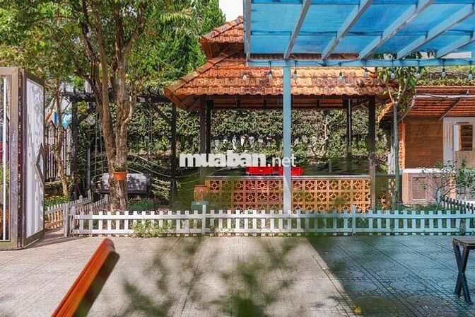 Homestay sân vườn KQH Yersin 8PN sức chứa 20 người, 2,5tr/ngày, 500m r