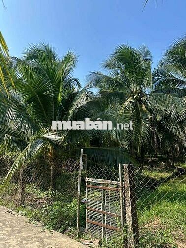 555M ĐẤT MẶT TIỀN HẺM THÔNG 3.5M Ở TAM PHƯỚC CÁCH 173 CHỈ 100M