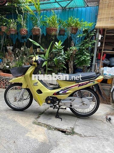 Honda Wave Alpha xanh bơ