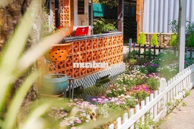 Homestay sân vườn KQH Yersin 8PN sức chứa 20 người, 2,5tr/ngày, 500m r