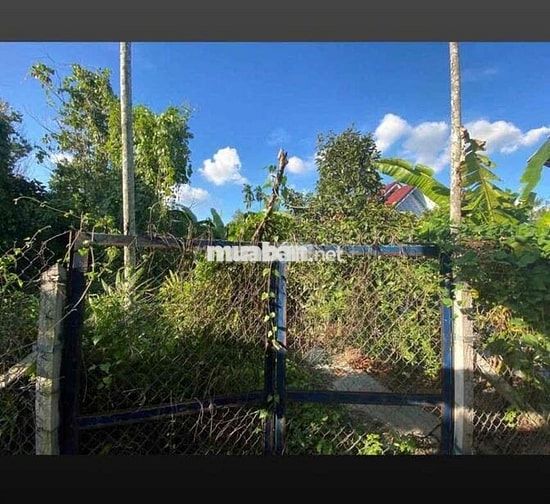 BÁN ĐẤT VƯON AN SƠN 467M2 CÓ 100M2 THỔ CƯ TIỆN XÂY NHÀ VƯỜN NGANG 11M