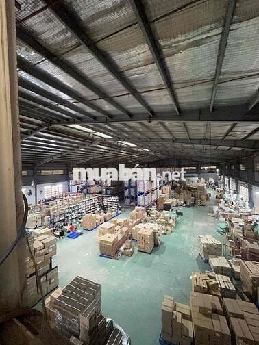cho thuê kho 1000m2 Bình Chánh cont 24-24 phù hợp chứa hàng