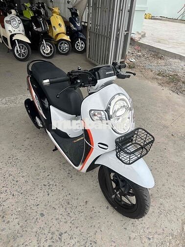 Honda Scoopy 2020 Trắng đen