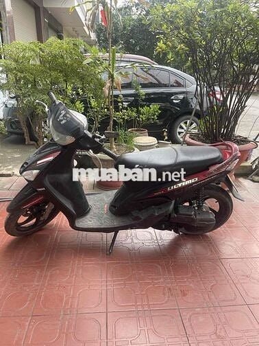 Honda Wave Đa màu
