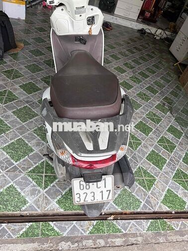 Honda Lead Trắng