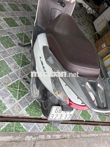 Honda Lead Trắng
