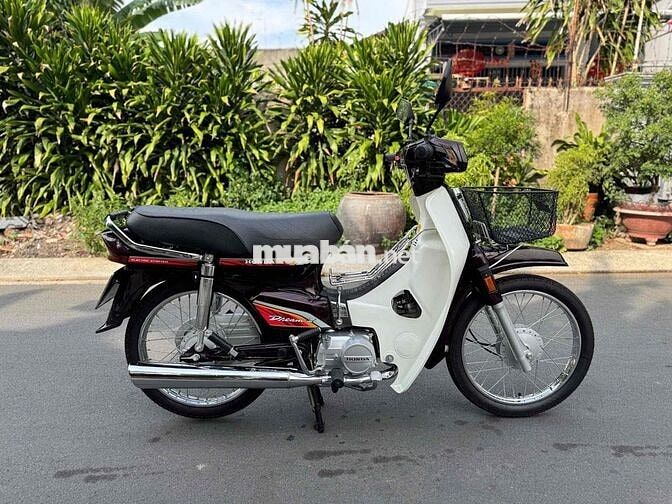 Honda Dream Thái Trắng, Nâu Mới