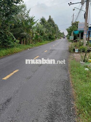 CHÍNH CHỦ GỬI BÁN ĐẤT CHÂU THÀNH – LONG AN CŨ, TÂY NINH MỚI