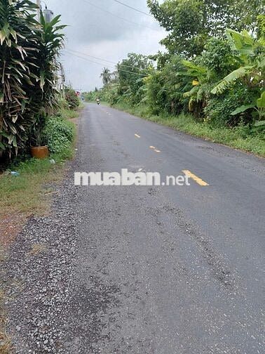 CHÍNH CHỦ GỬI BÁN ĐẤT CHÂU THÀNH – LONG AN CŨ, TÂY NINH MỚI