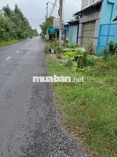 CHÍNH CHỦ GỬI BÁN ĐẤT CHÂU THÀNH – LONG AN CŨ, TÂY NINH MỚI