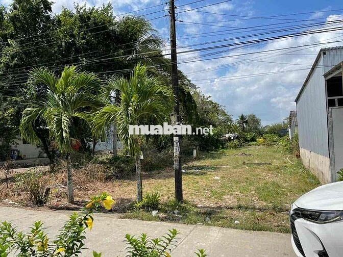 🆘Bán đất chính chủ đường XE HƠI Bạc Liêu-Dt 8x36m-Tiện xây dựng