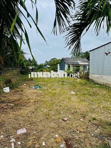 🆘Bán đất chính chủ đường XE HƠI Bạc Liêu-Dt 8x36m-Tiện xây dựng