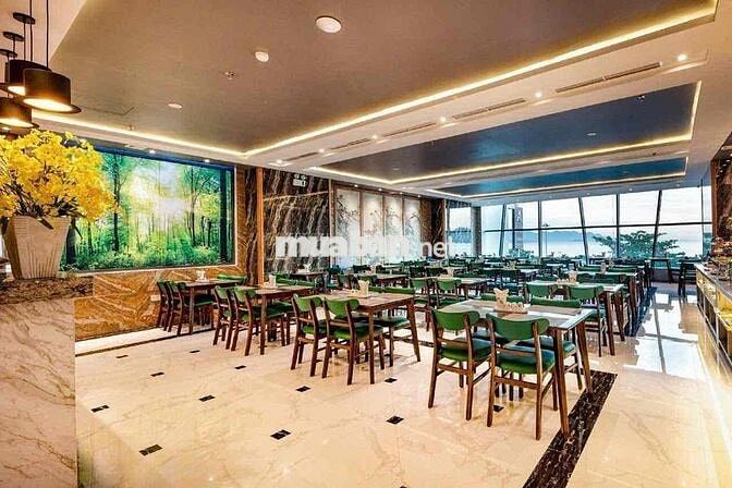 Bán khách sạn mặt tiền Trần Phú đẳng cấp. Giá: 180 tỷ