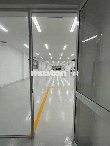 𝗖𝗛𝗢 𝗧𝗛𝗨𝗘̂ 𝗫𝗨̛𝗢̛̉𝗡𝗚 𝗛𝗢́𝗖 𝗠𝗢̂𝗡, 1300m2