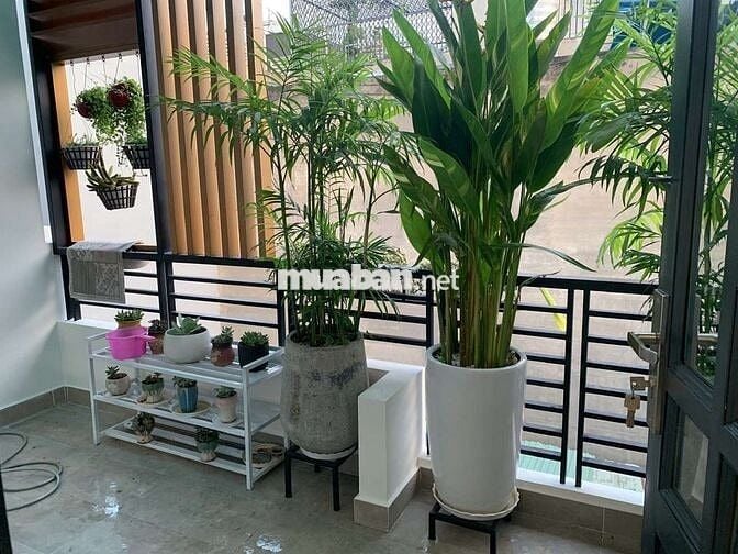 Cho thuê nhà nguyên căn 3 tầng gần chợ Hiệp Bình Phước, Thủ Đức 