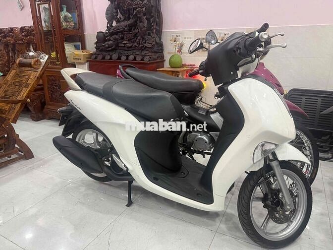 Janus 2024 trả trước 10tr