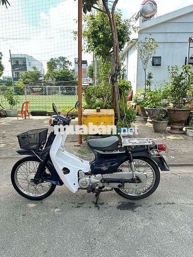 Honda Super Cub Trắng, Xanh
