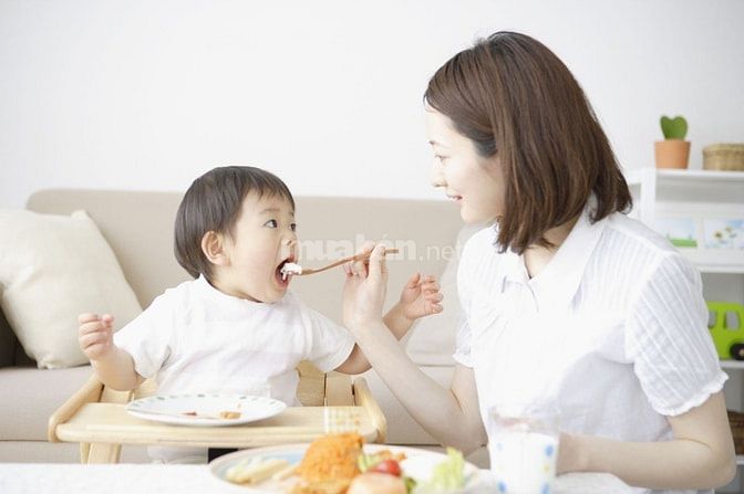 Mình Cần Tuyển 1 Người Chăm Cụ Gìa 