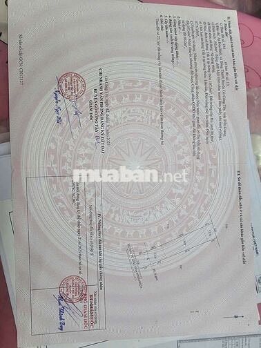 đất huyện gò công tây chính chủ cần bán