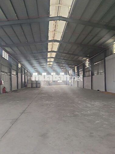 xưởng cho thuê Đức Hòa Long An pccc tự động container 40f
