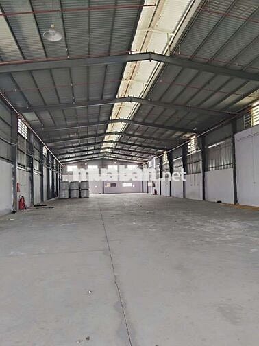 xưởng cho thuê Đức Hòa Long An pccc tự động container 40f
