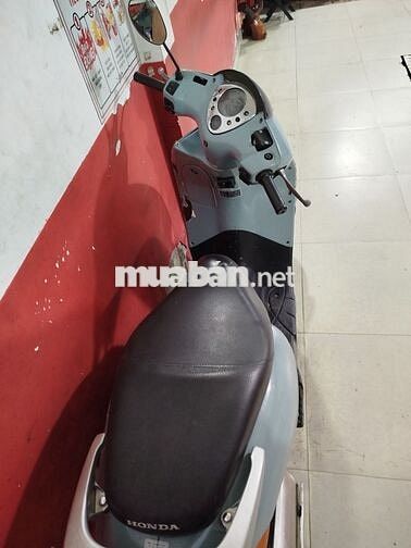 Honda Xám Zin