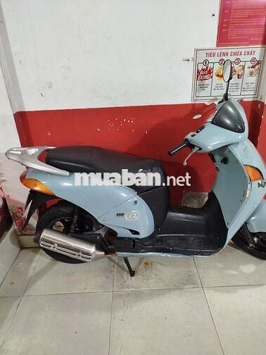 Honda Xám Zin
