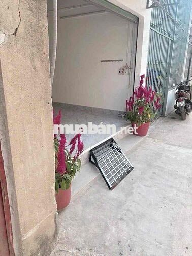 cho thuê nhà nguyên căn tx 31 q12 giá 3tr2/th điện nước chính