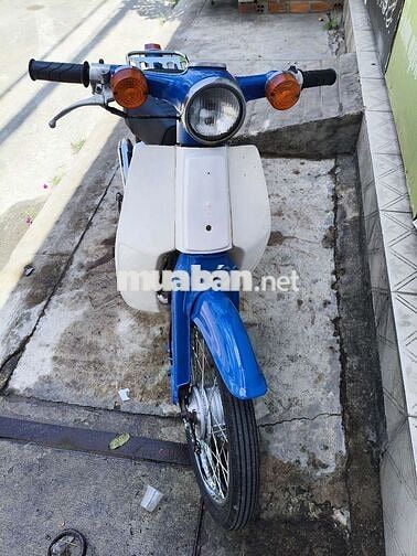 Honda Cub 81 màu xanh