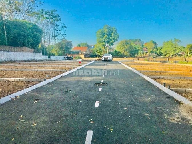 Chính chủ Bán Đất Sen Trì, Thạch Thất Hà nội. S: 61,3m2, giá 2,35