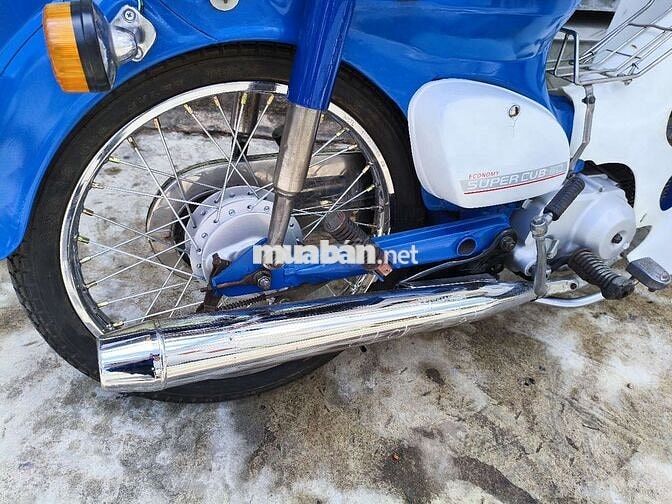 Honda Cub 81 màu xanh