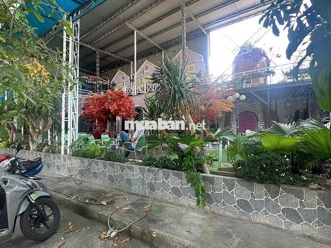 Ở xa không có TG Qly nên bán lại quán cafe Vip nhất phú quý Mt 31m
