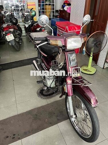 Daelim Citi 100 Đỏ đô