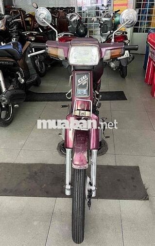 Daelim Citi 100 Đỏ đô