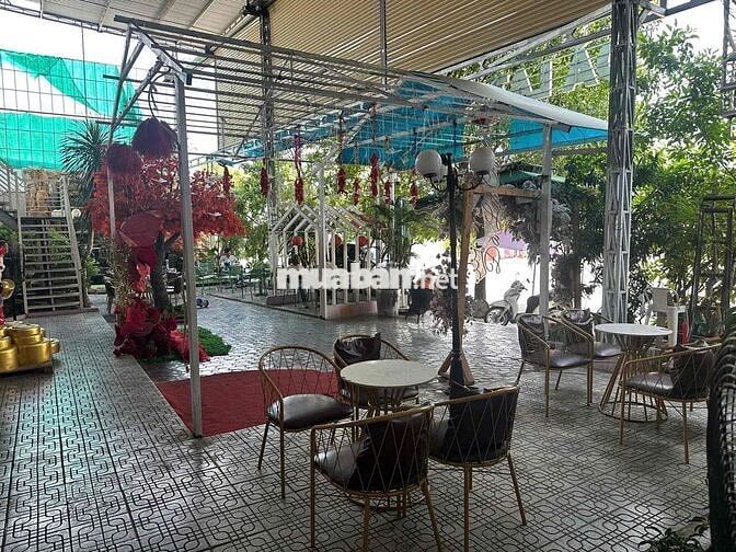 Ở xa không có TG Qly nên bán lại quán cafe Vip nhất phú quý Mt 31m