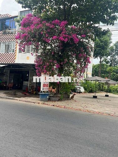 Bán đất nền 105 m², đường Trục Chính KCN, cặp hẻm kỹ thuật 2m