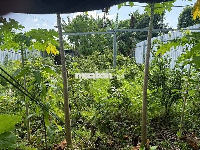 Cần bán gấp đất mặt tiền đường Liên Cảng, có thổ cư