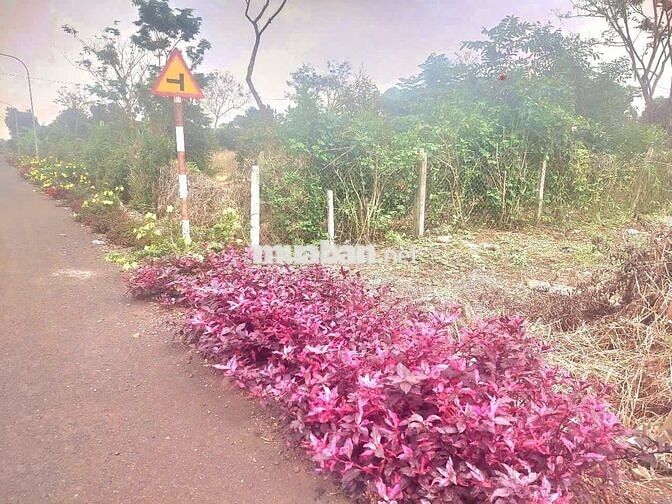 Tôi cần bán nhanh lô đất chính chủ tại Thị trấn Kim Long