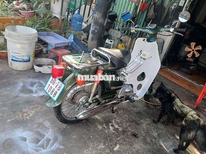 Honda Cub 50cc 1996 Xanh