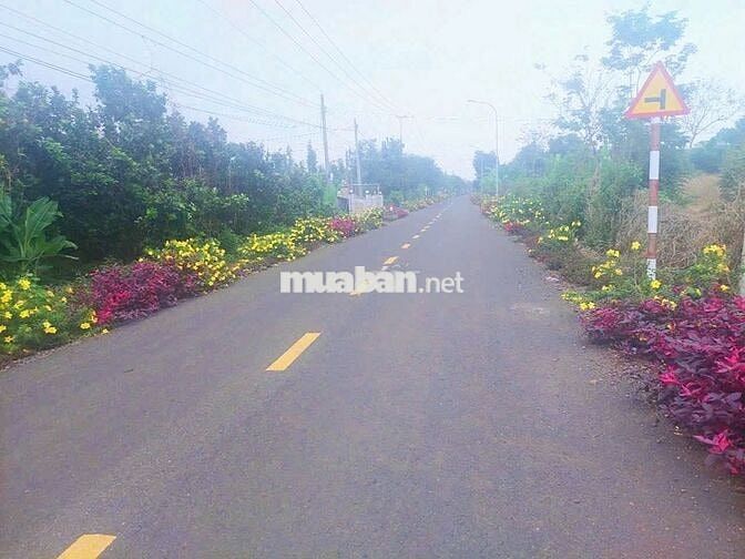 Tôi cần bán nhanh lô đất chính chủ tại Thị trấn Kim Long