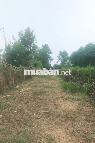Tôi cần bán nhanh lô đất chính chủ tại Thị trấn Kim Long