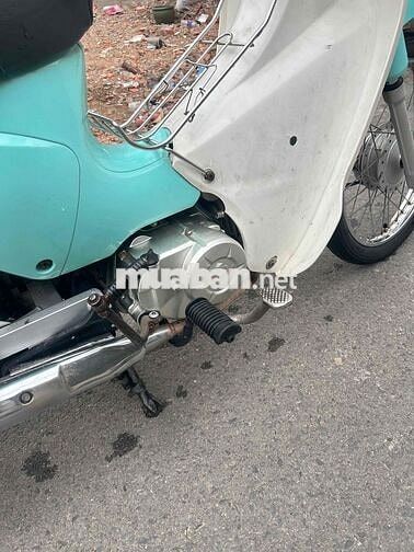 Honda Cup 50cc Xanh ngọc, Trắng