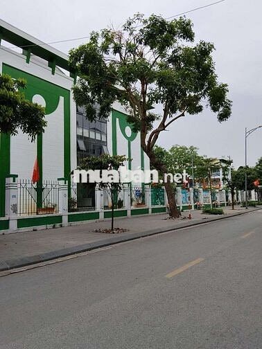 Đất vàng TĐC Thượng thanh Việt Hưng Long Biên