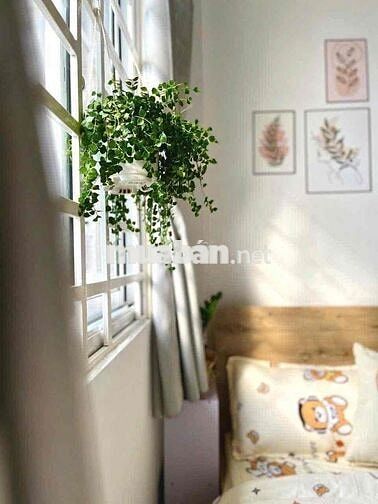 CHO THUÊ PHÒNG TRỌ GẦN HOÀNG SA, BAN CÔNG ĐÓN NẮNG, VIEW ĐẸP MÊ LY
