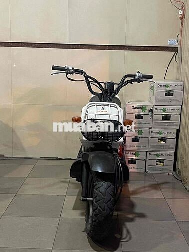 Honda Zommer 50c Trắng, Đen
