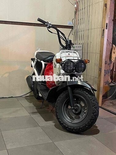 Honda Zommer 50c Trắng, Đen