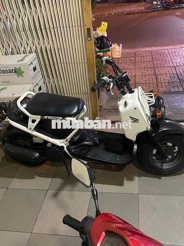 Honda Zommer 50c Trắng, Đen